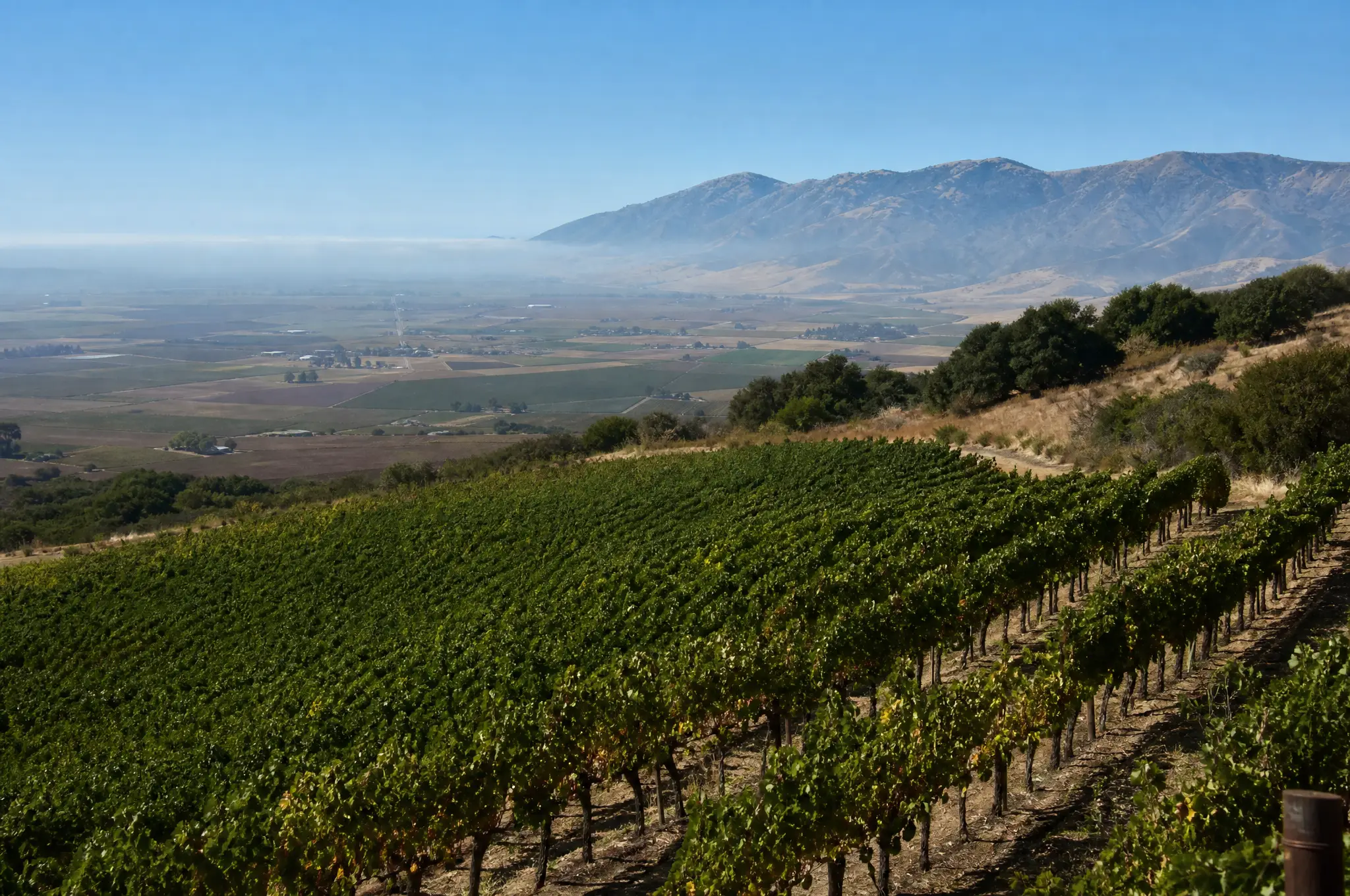 Santa Lucia Highlands Estate