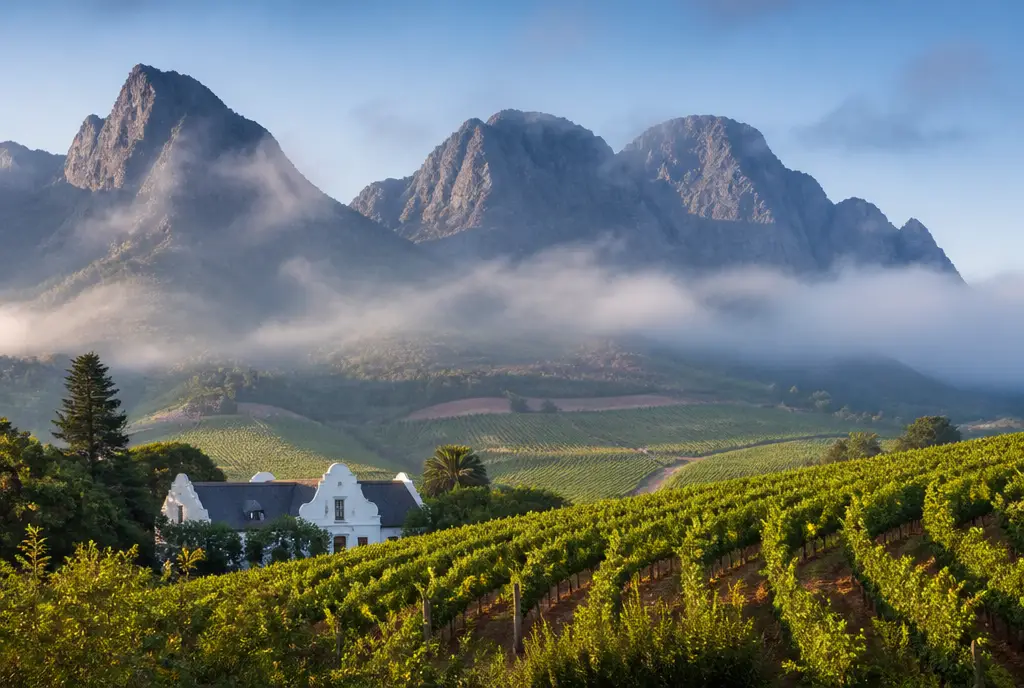 Cape Bordeaux Red Blend β Stellenbosch