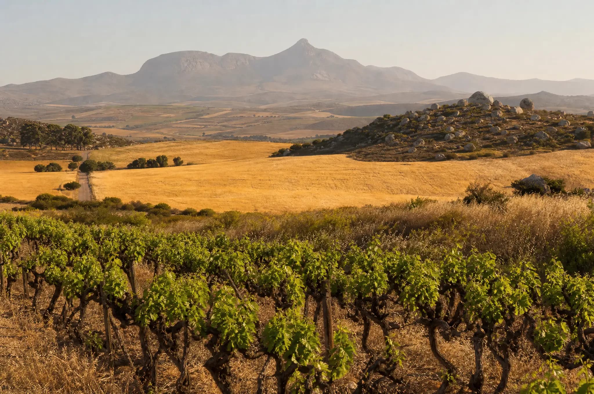 Swartland Estate