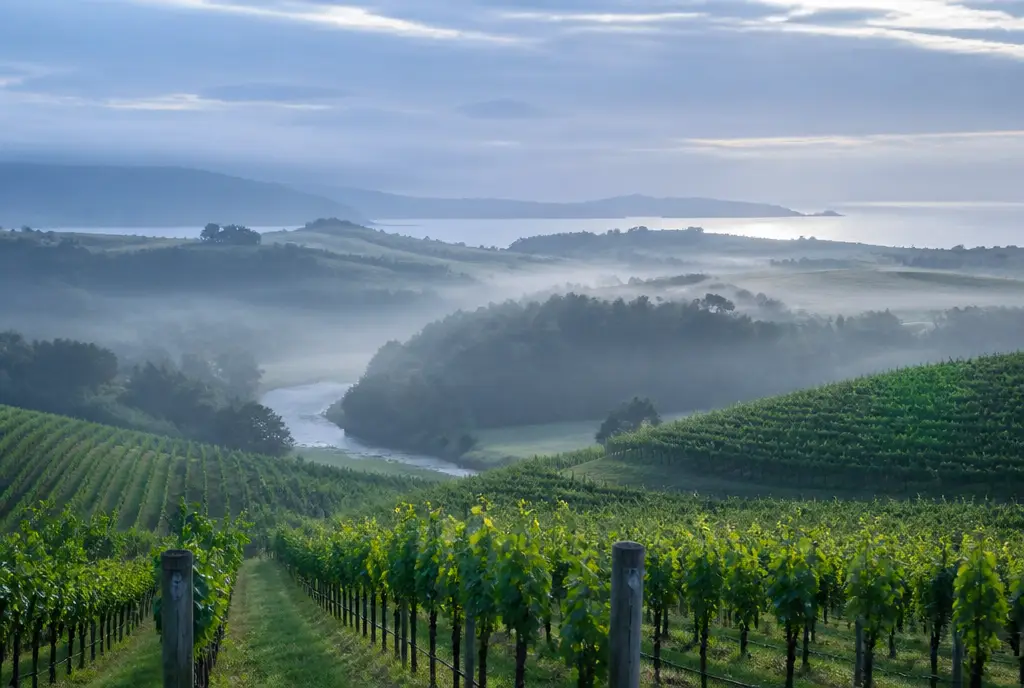 Pipers River Pinot Noir β Tasmania