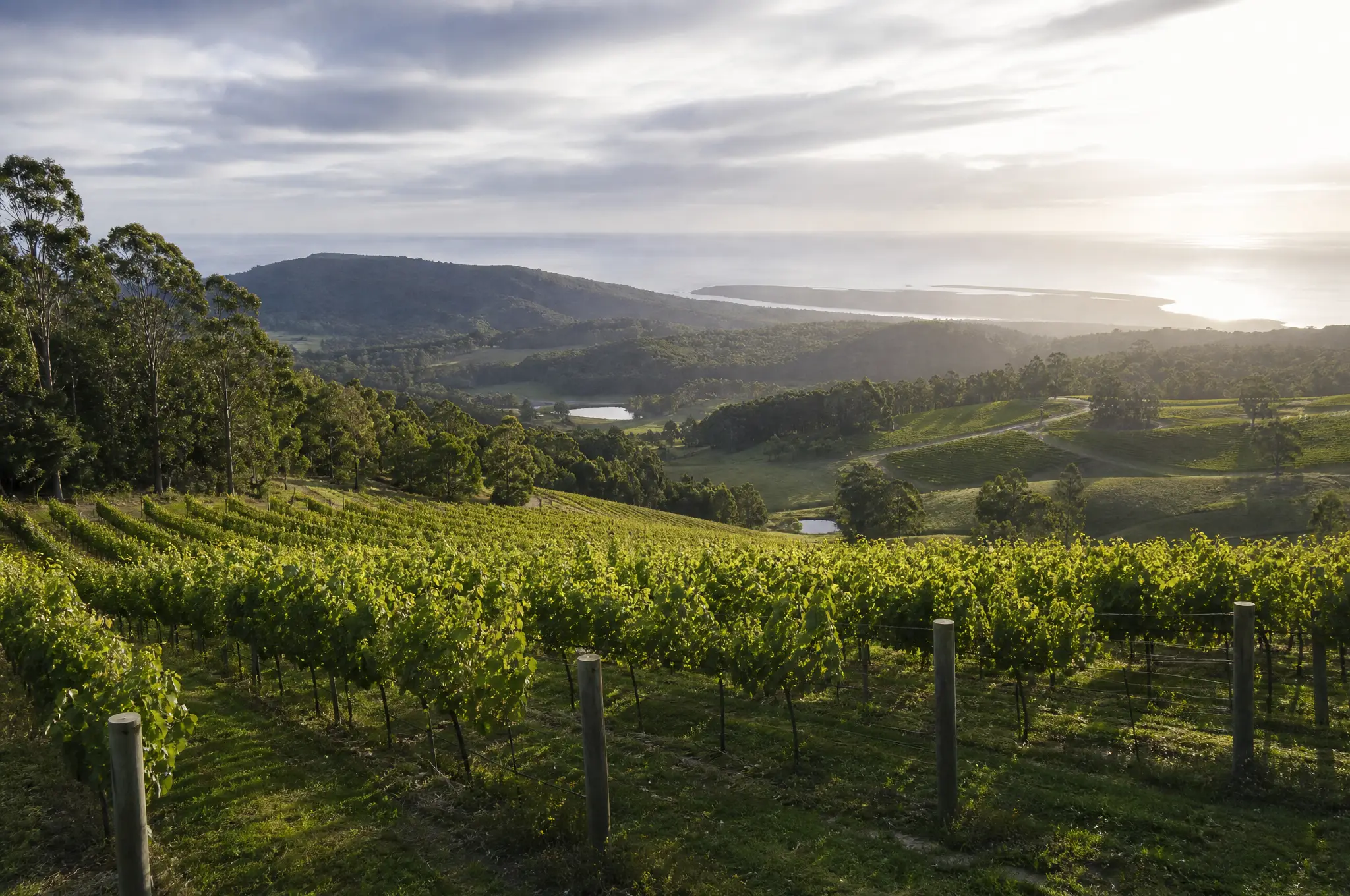 Tasmania Estate
