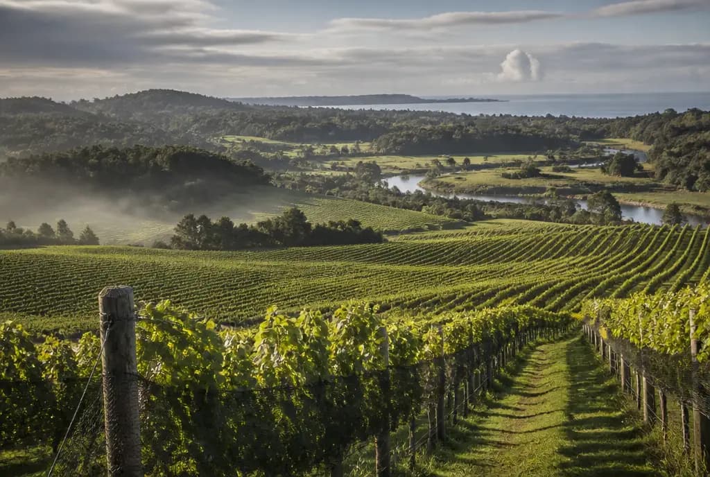Tasmanian Cuvée — Tasmania