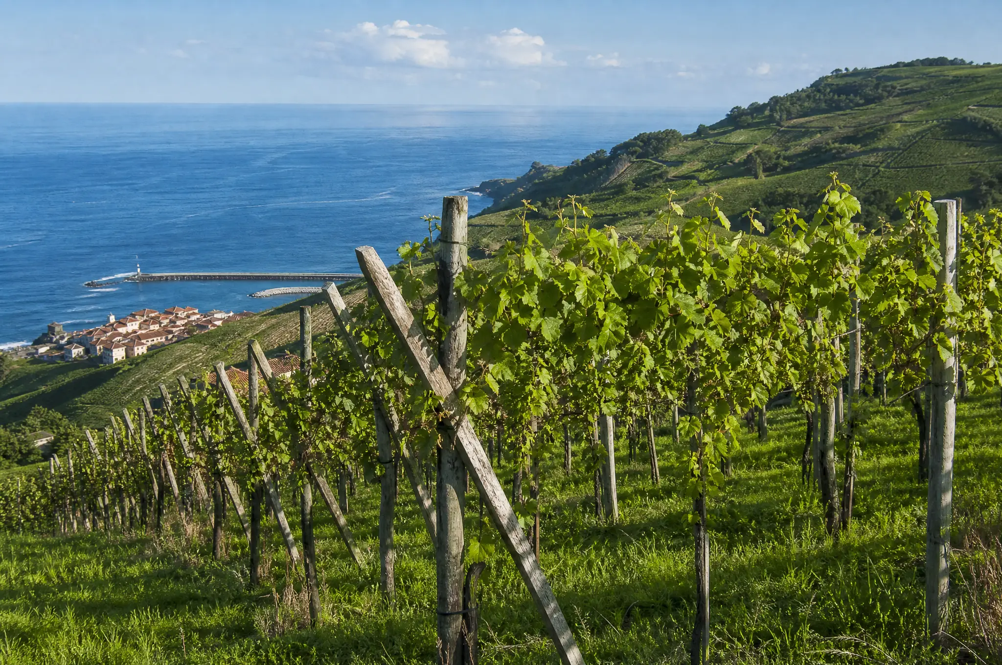 Getariako Txakolina Estate