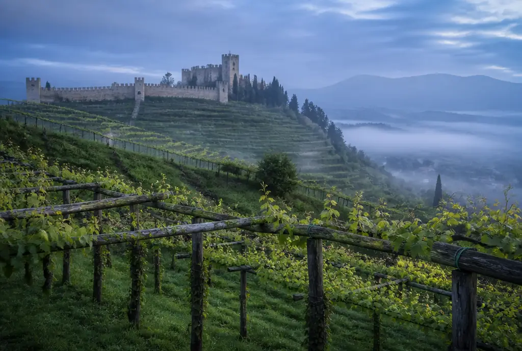 Prosecco Superiore DOCG β Soave & Prosecco