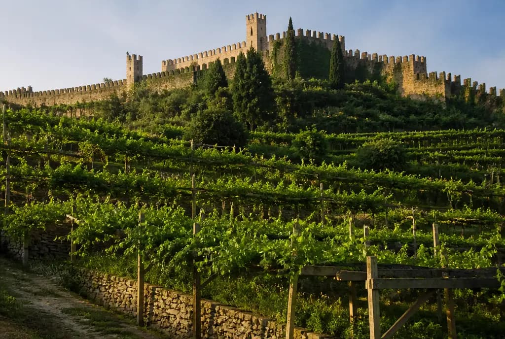 Soave Classico DOC β Soave & Prosecco