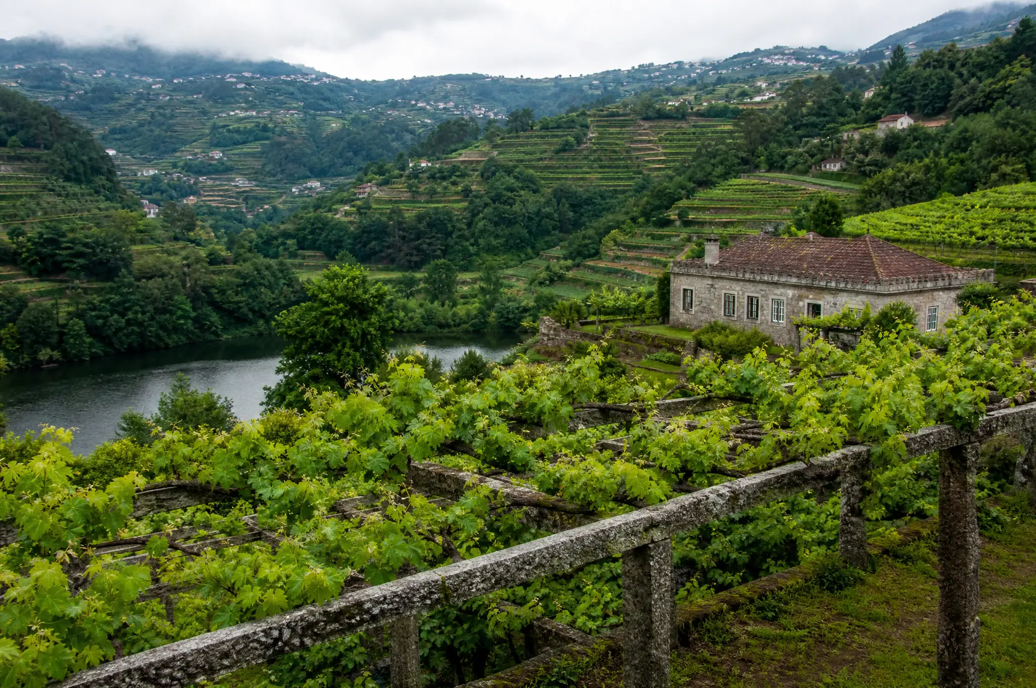 Vinho Verde Estate