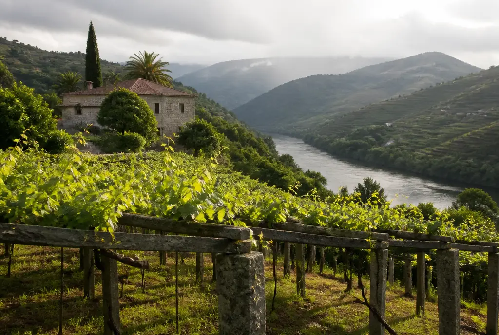 Alvarinho de Monção — Vinho Verde