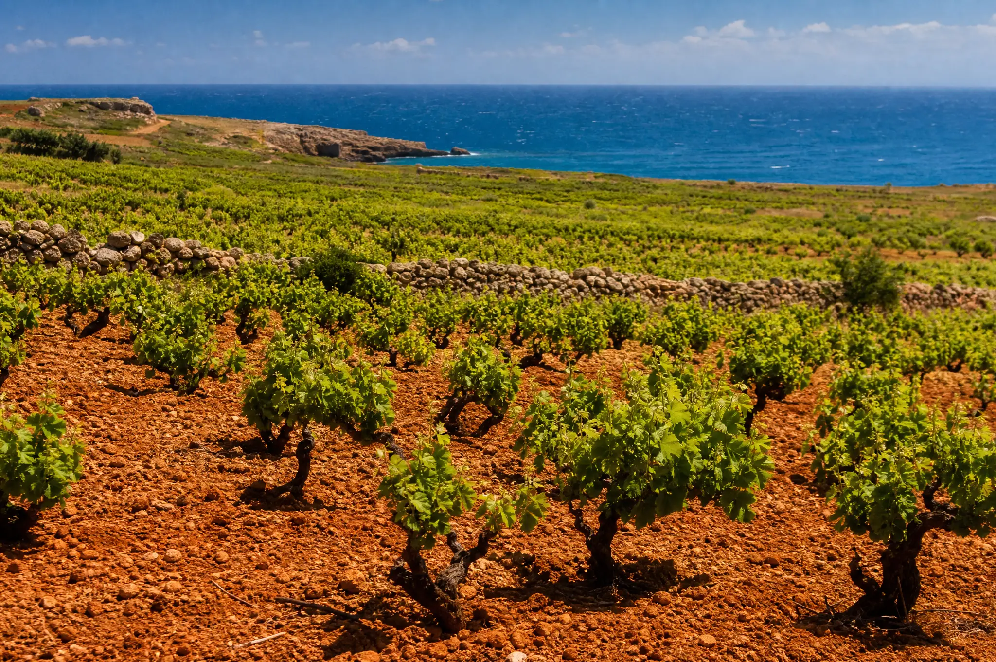 Vittoria Estate