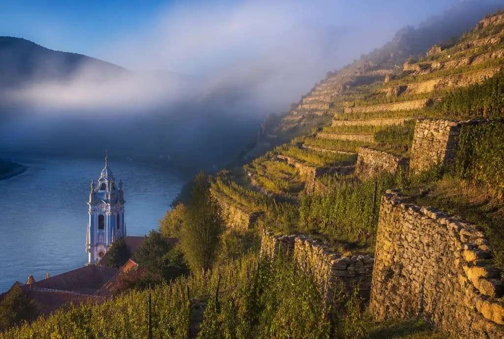 Grüner Veltliner Smaragd — Wachau