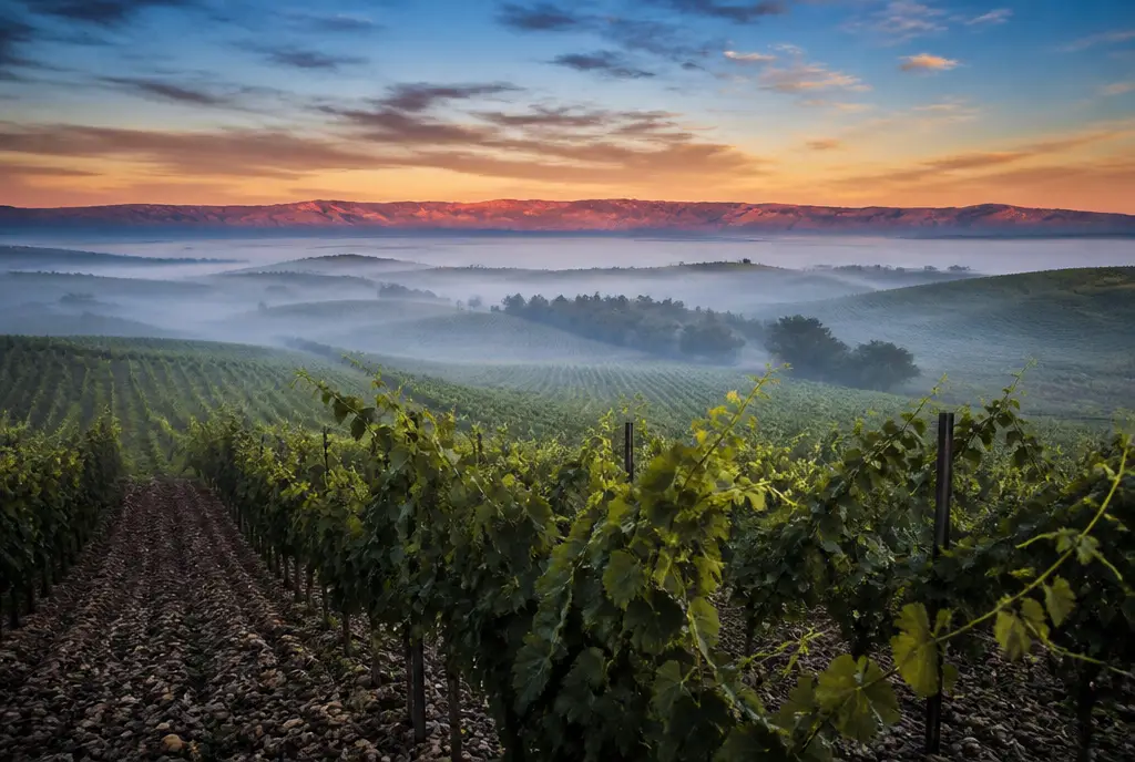 Walla Walla Cabernet Sauvignon β Walla Walla Valley