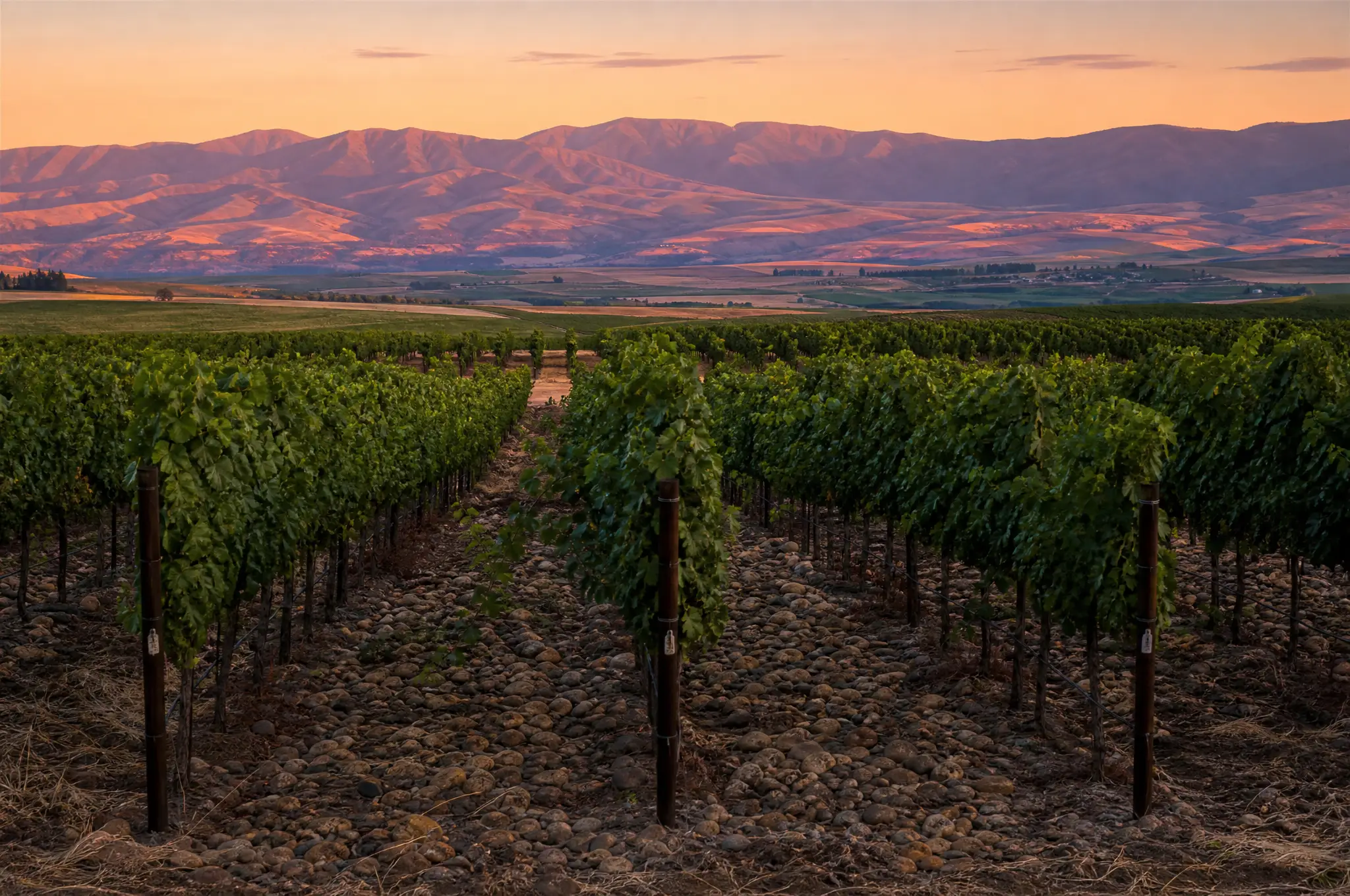 Walla Walla Valley Estate