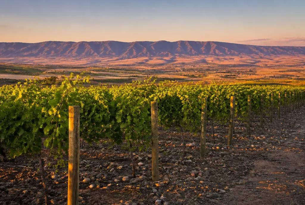 The Rocks Syrah — Walla Walla Valley