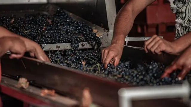 Barolo is waiting. A short guide to why everyone's quiet this time of year