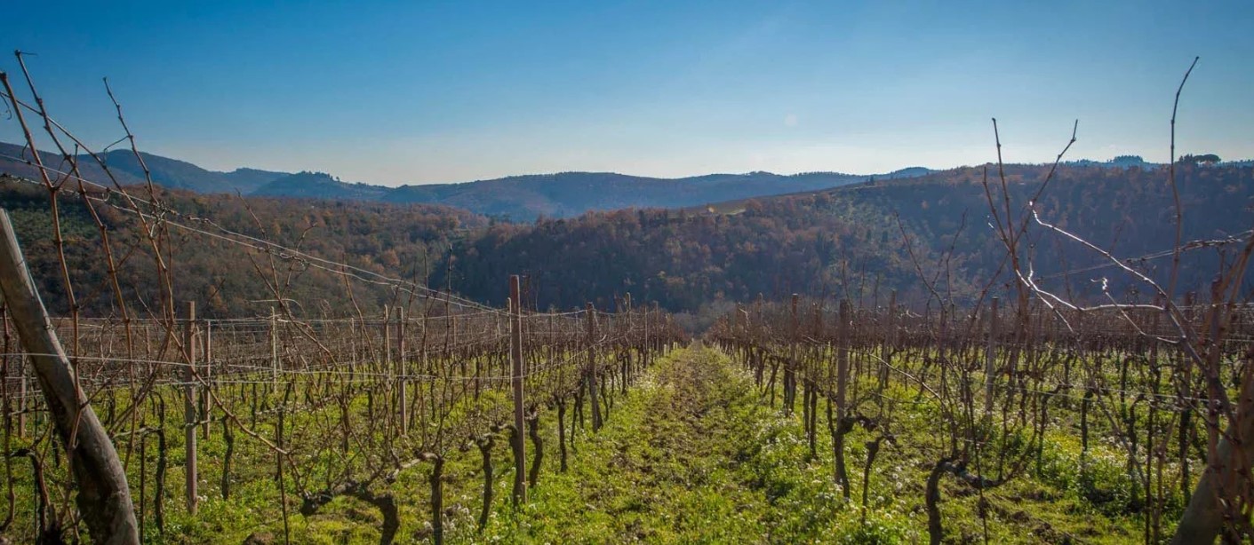 Ten questions with Casa Brunello's Alessandra Moretti