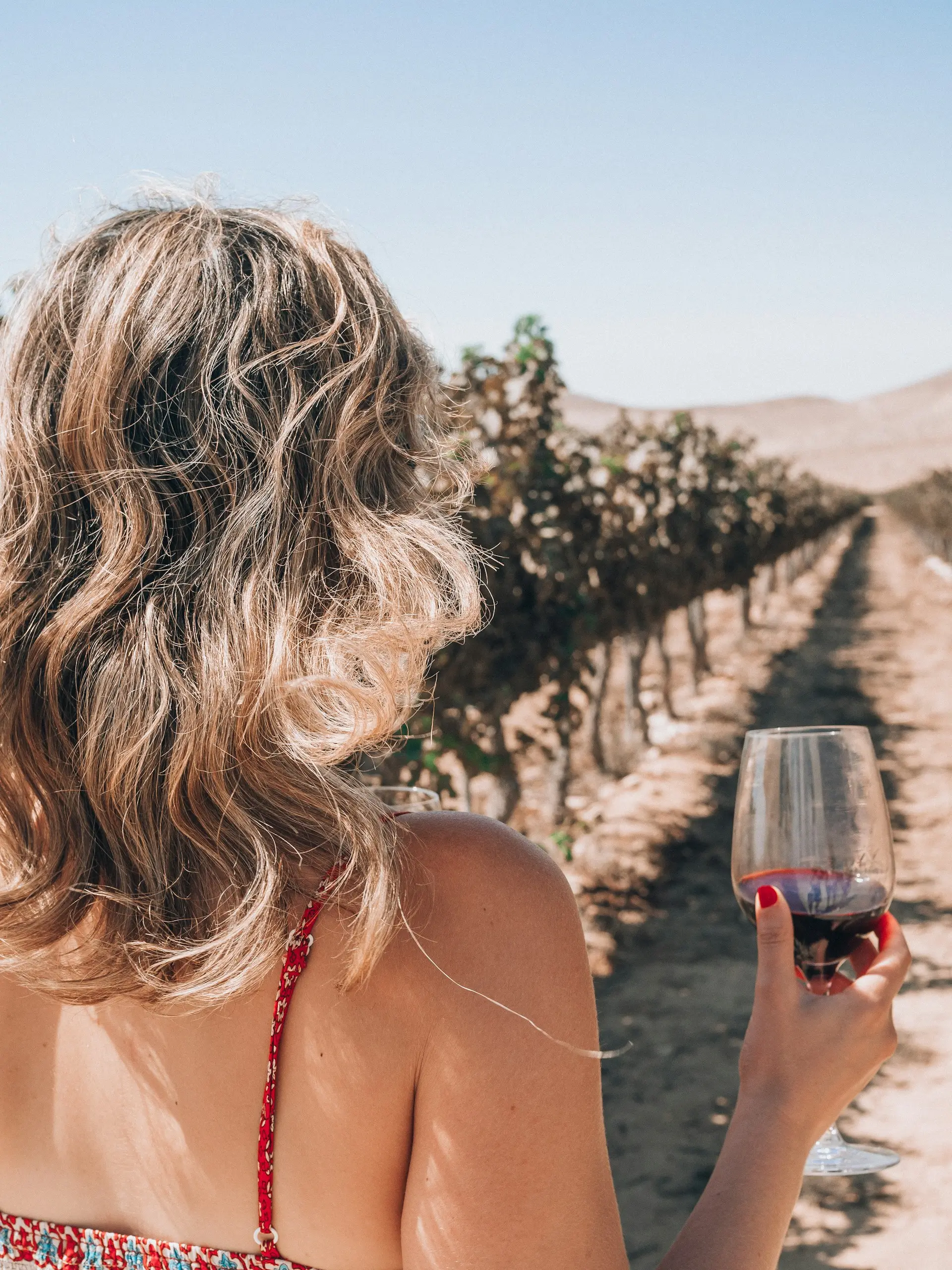 Year three of a Block Commission: what changes when you've made three vintages at the same block